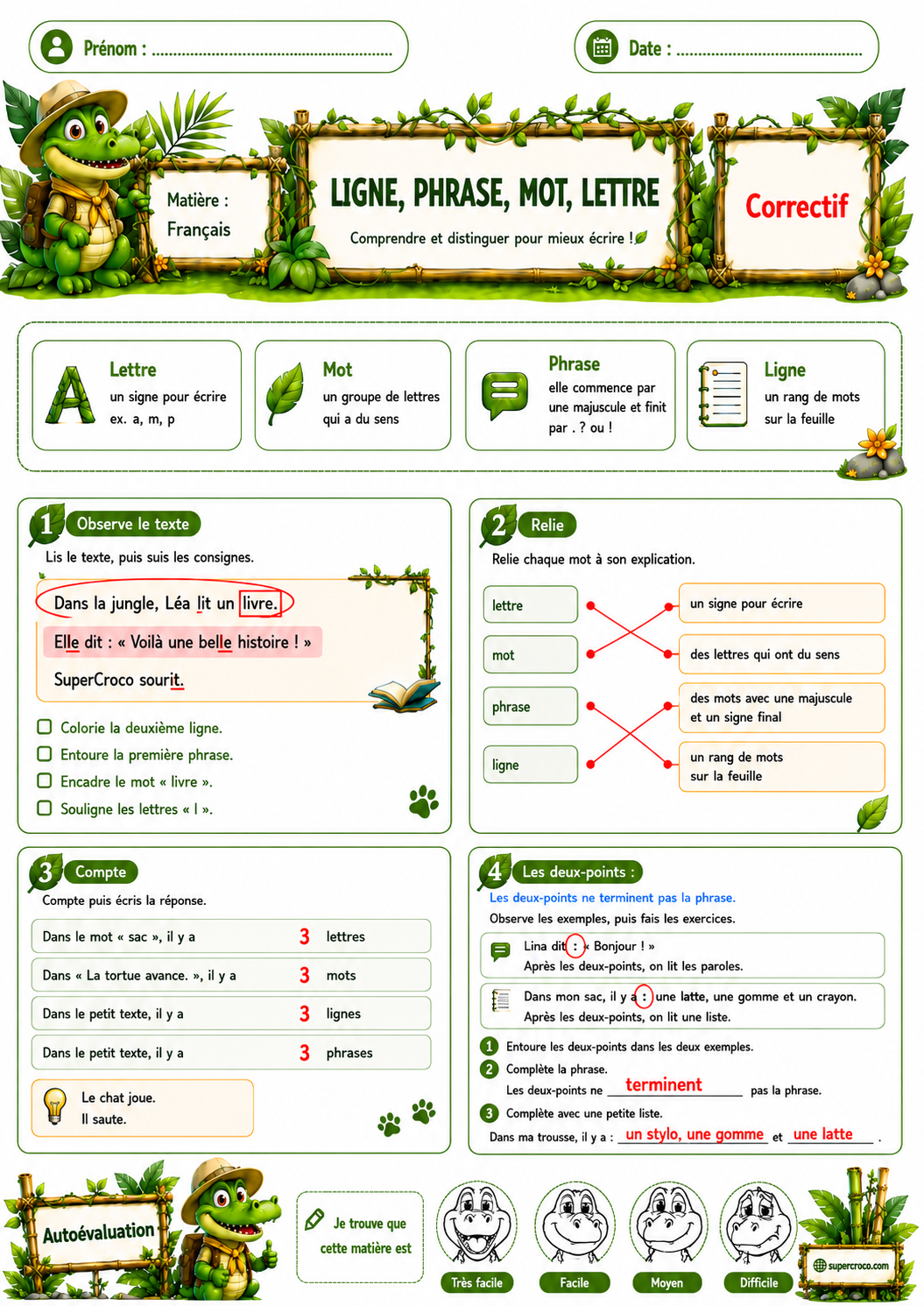 Feuille correctif de français P2 / CE1 sur les notions de ligne, phrase, mot et lettre, avec les réponses indiquées en rouge et une correction de l’activité sur les deux-points.