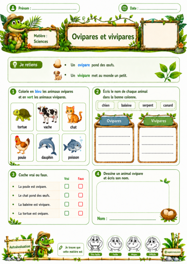 Feuille d’exercices de sciences P2 / CE1 sur les animaux ovipares et vivipares, avec des illustrations d’animaux à colorier, un classement à compléter, un exercice vrai ou faux et une autoévaluation.