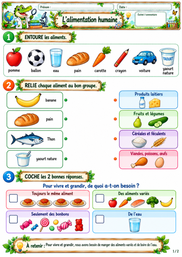 Feuille d’exercices sur l’alimentation humaine en P1 / CP avec activités pour reconnaître, classer les aliments et identifier les besoins du corps.