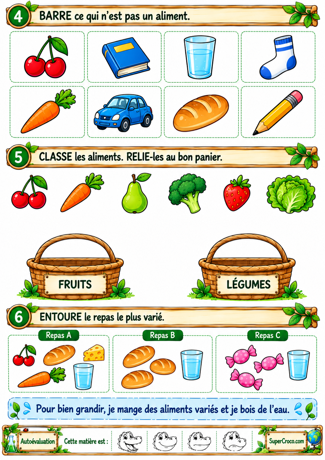 Classer les aliments et reconnaître un repas varié – Sciences P1 / CP