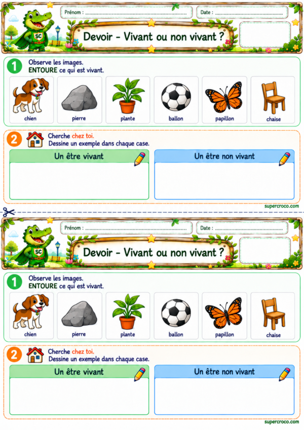 Vivant ou non vivant – Devoir de sciences P1 / CP avec exercices d’observation et de dessin