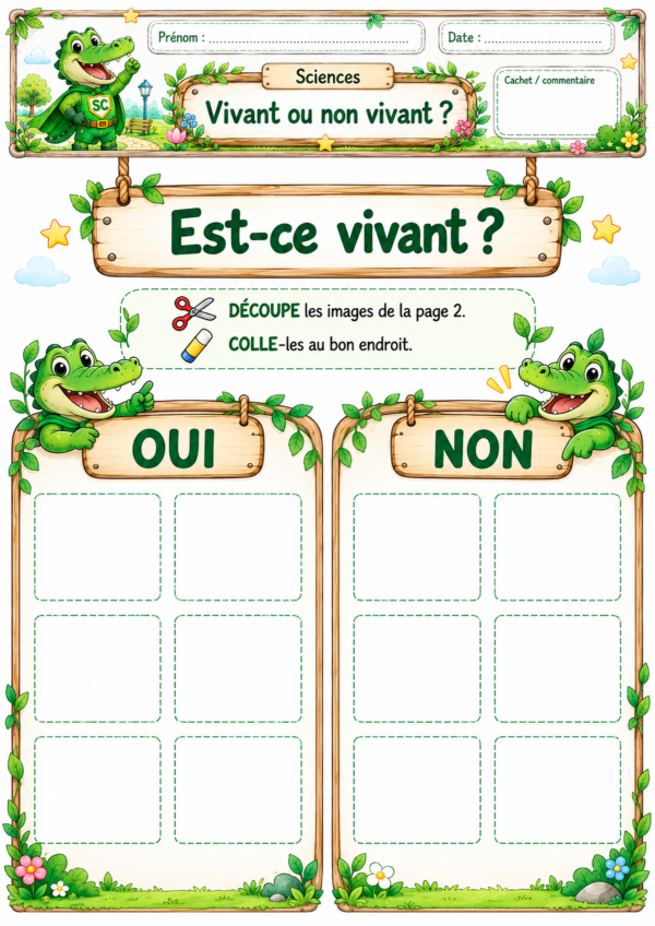Tri vivant ou non vivant en P1 / CP – activité de sciences avec cases OUI et NON