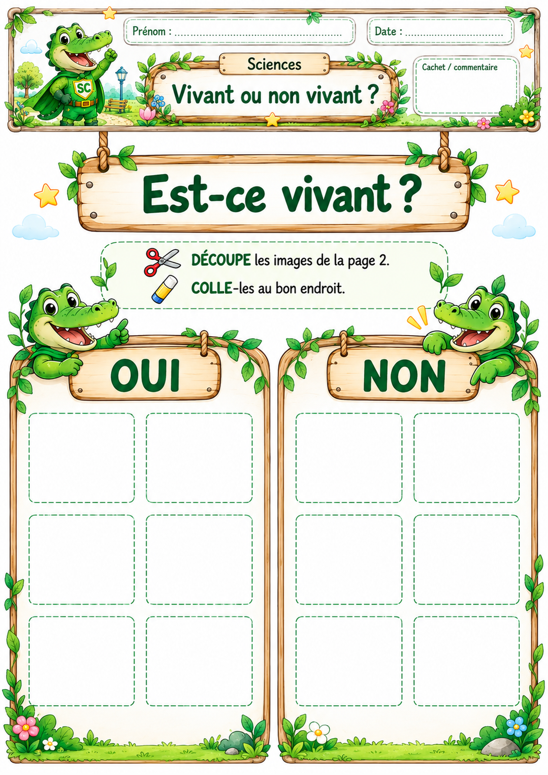 Tri vivant ou non vivant en P1 / CP – activité de sciences avec cases OUI et NON